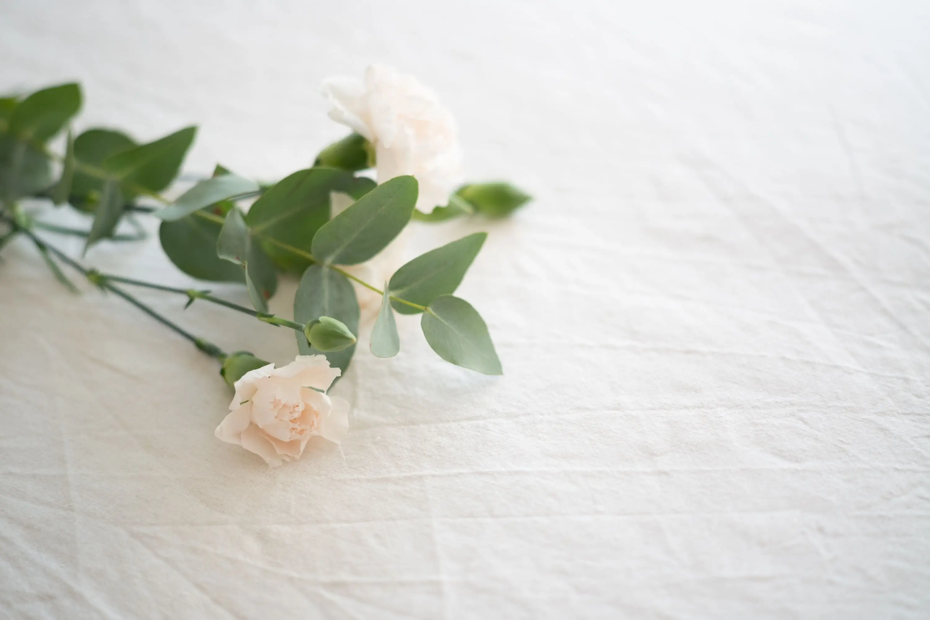 Image credit: Unsplash | Jacinta Christos