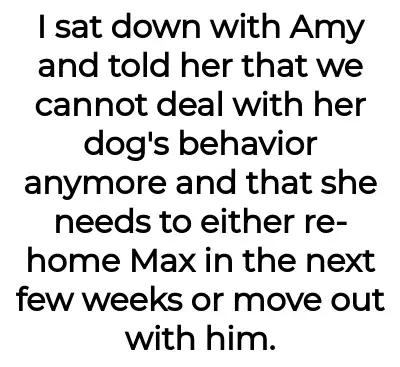 Image credit: sickofamysdog-aita | sickofamysdog-aita