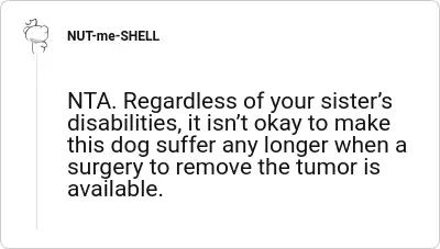 Image credit: NUT-me-SHELL | NUT-me-SHELL