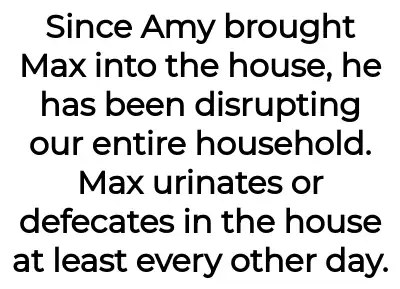 Image credit: sickofamysdog-aita | sickofamysdog-aita
