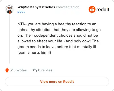 Image credit: WhySoManyOstriches | WhySoManyOstriches