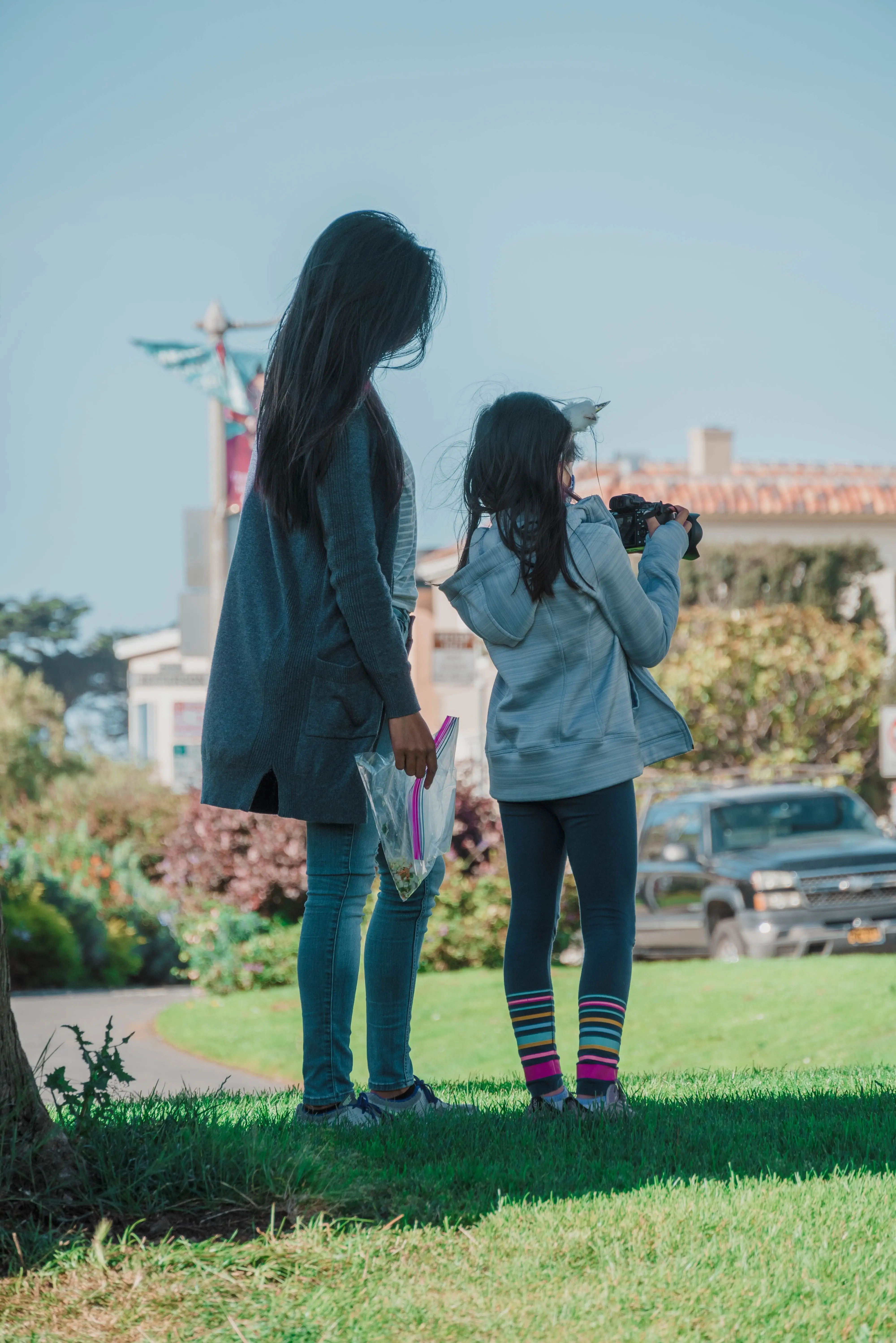 Image credit: Unsplash | Jairo Gonzalez