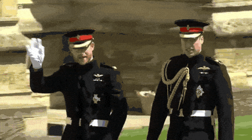 Image credit: Giphy | BBC