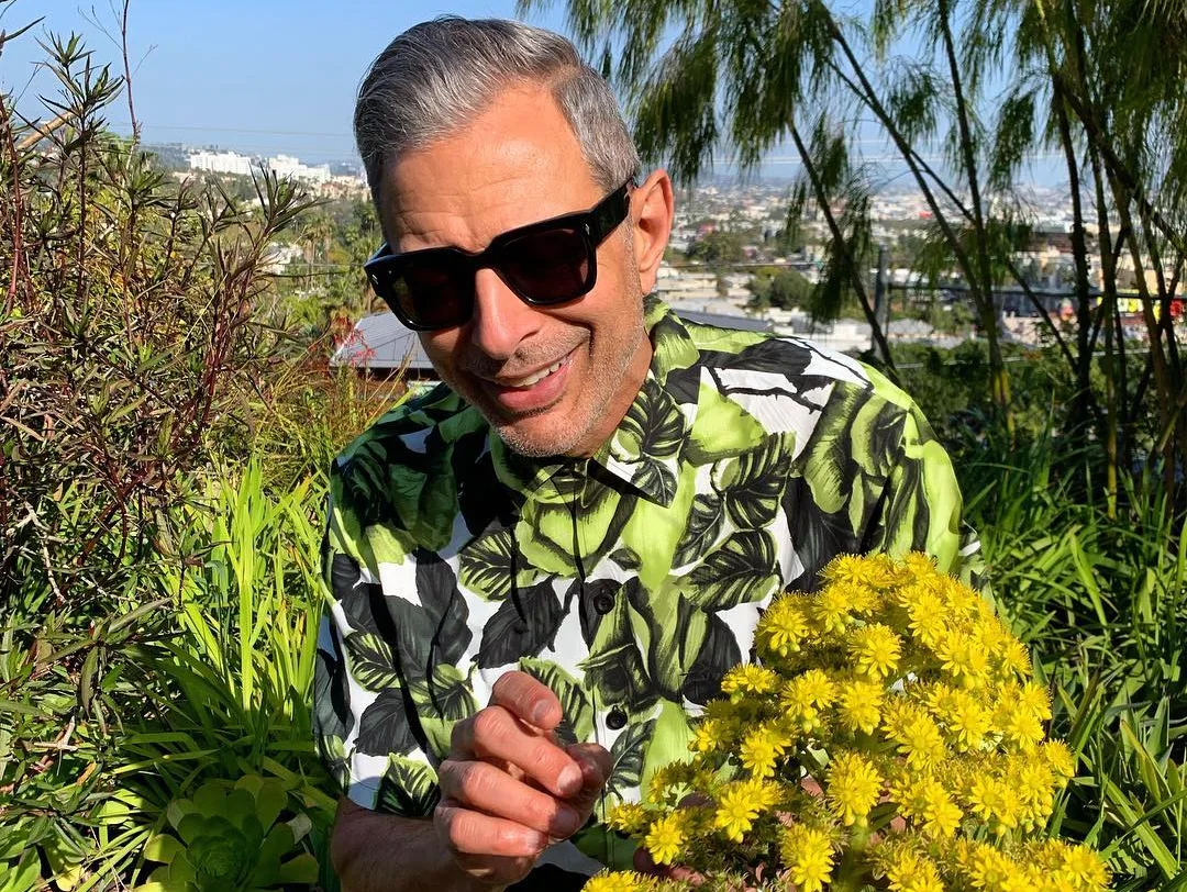 Image credit: Instagram | @jeffgoldblum