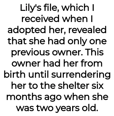 Image credit: lilypupper-aita | lilypupper-aita