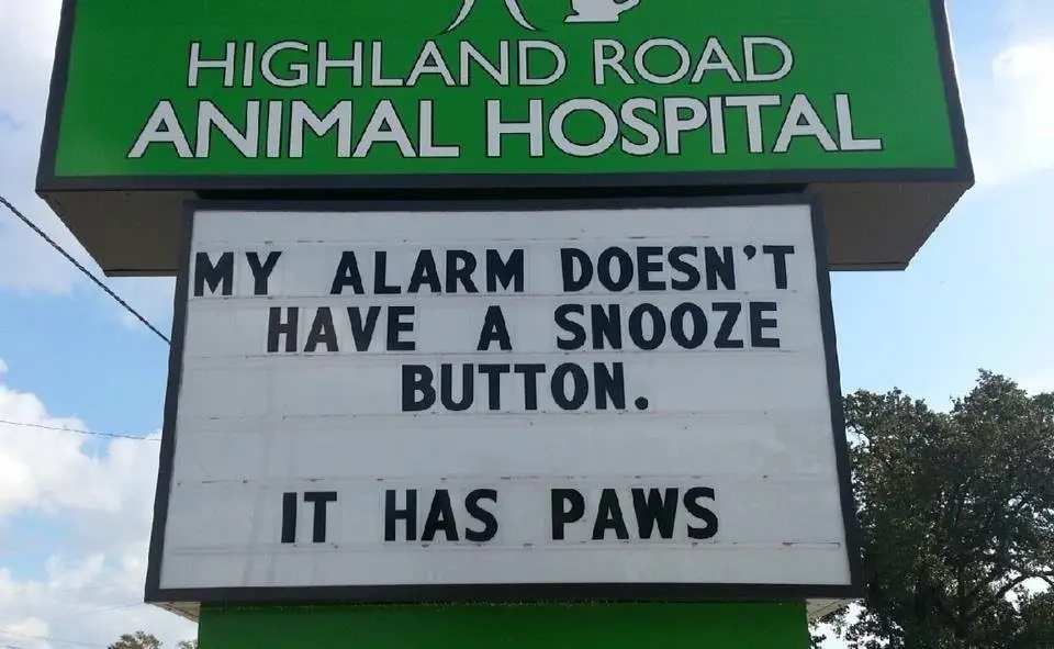 Image credit: Facebook | Highland Road Animal Hospital