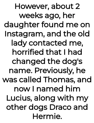 Image credit: mydognotyours | mydognotyours