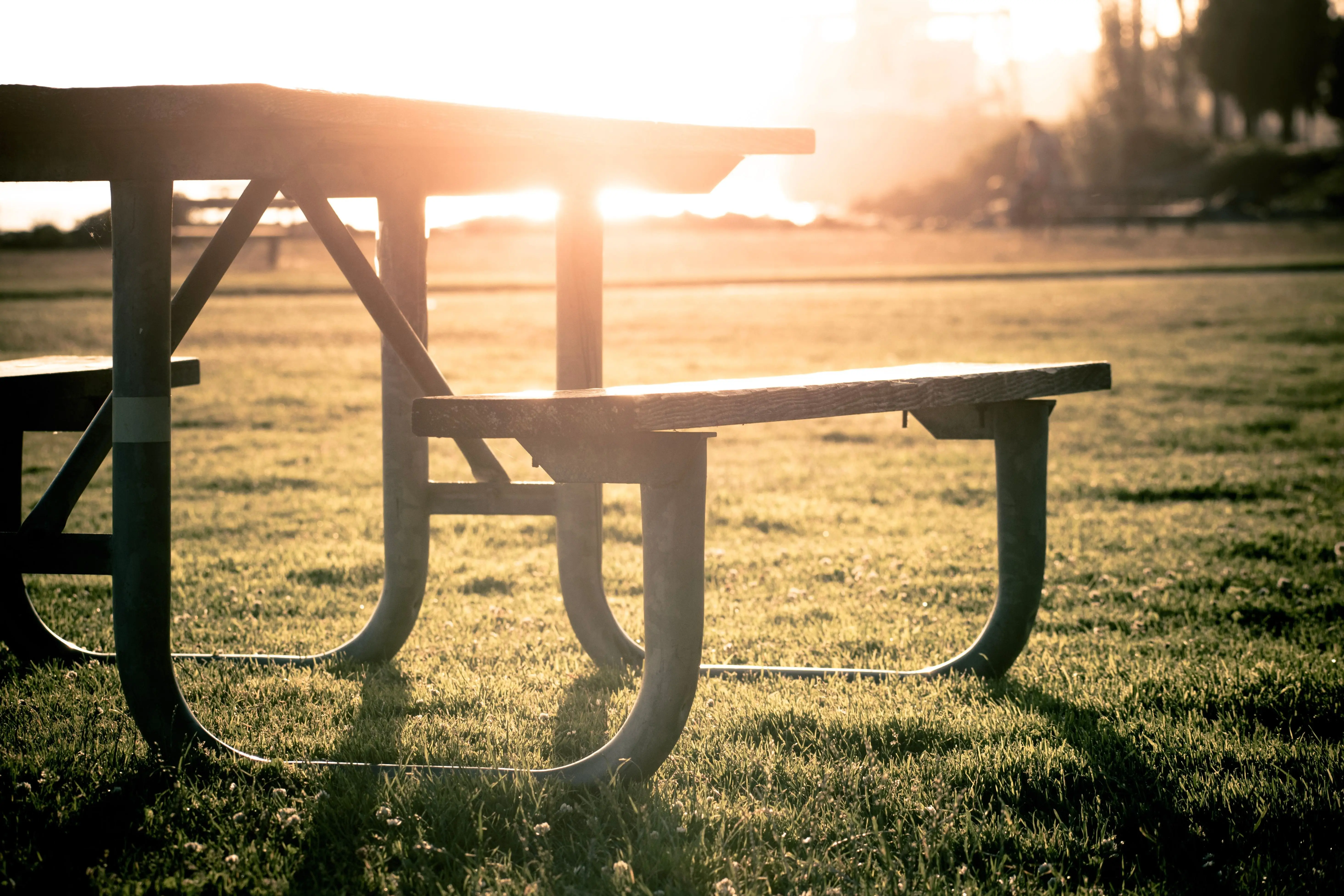 Image credit: Unsplash | Taylor Vick