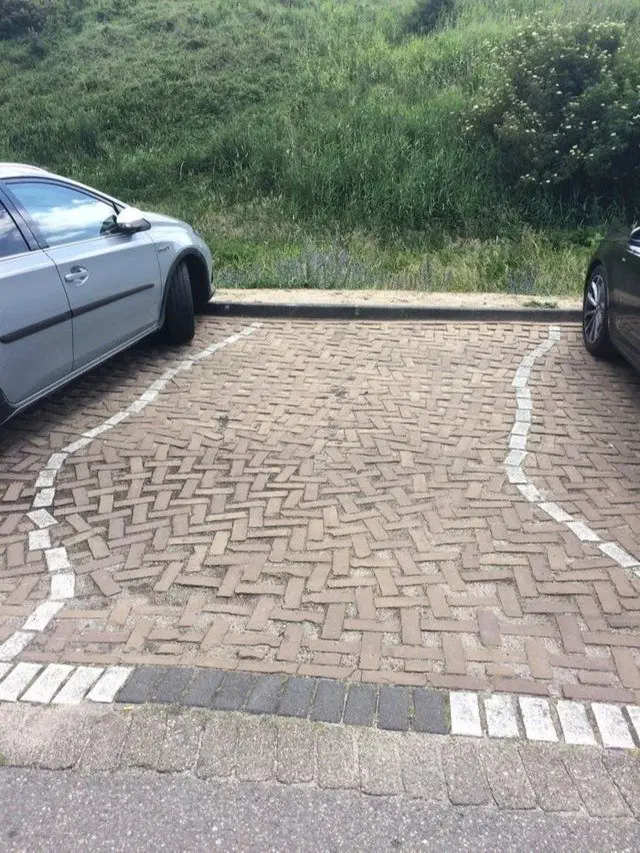 Image credit: Reddit | FishLickinGood