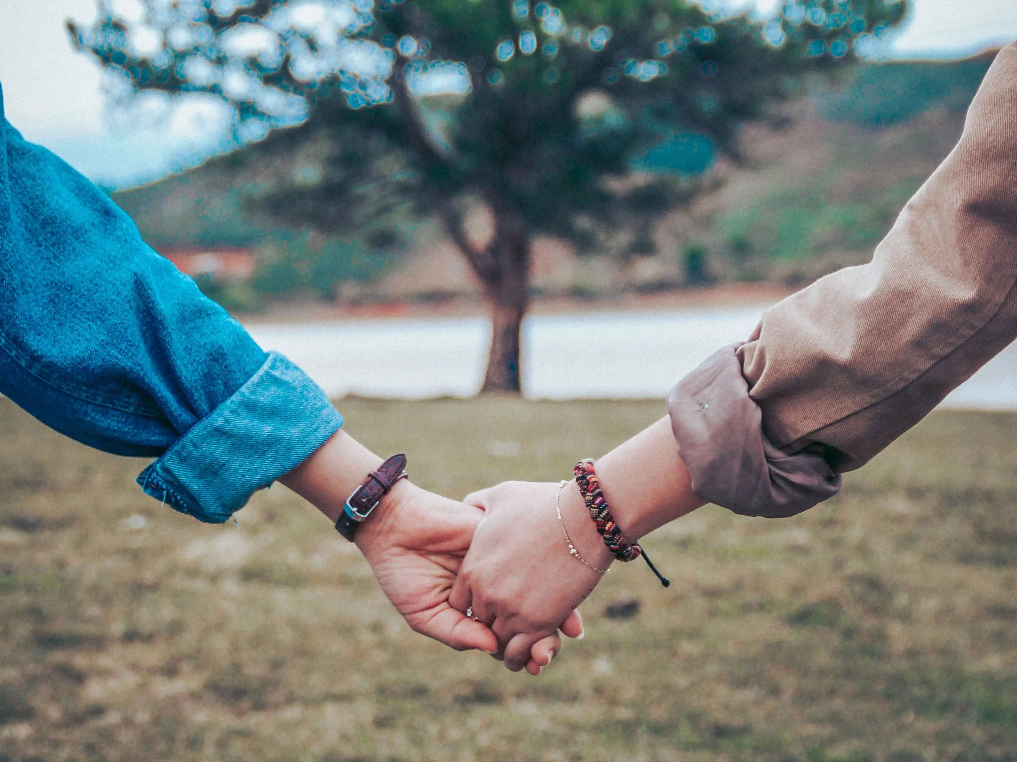 Image credit: Unsplash | Dương Hữu