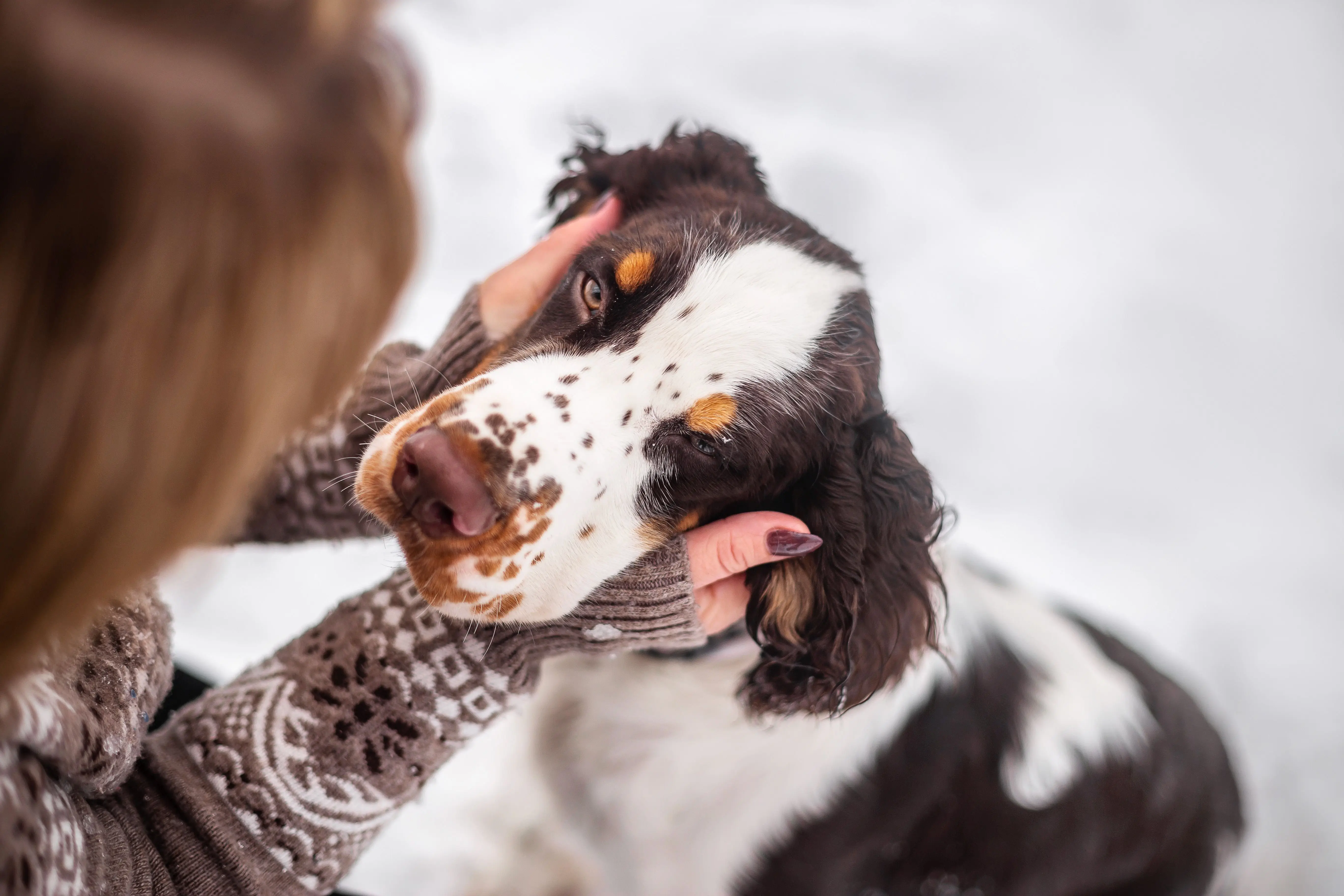 Image credit: Shutterstock | 255663953