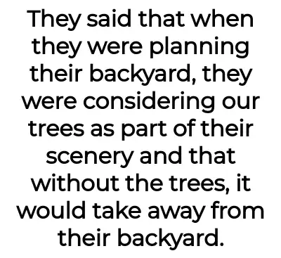 Image credit: bloomedtomb | bloomedtomb