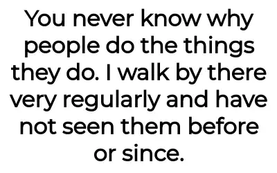 Image credit: reddittor | reddittor