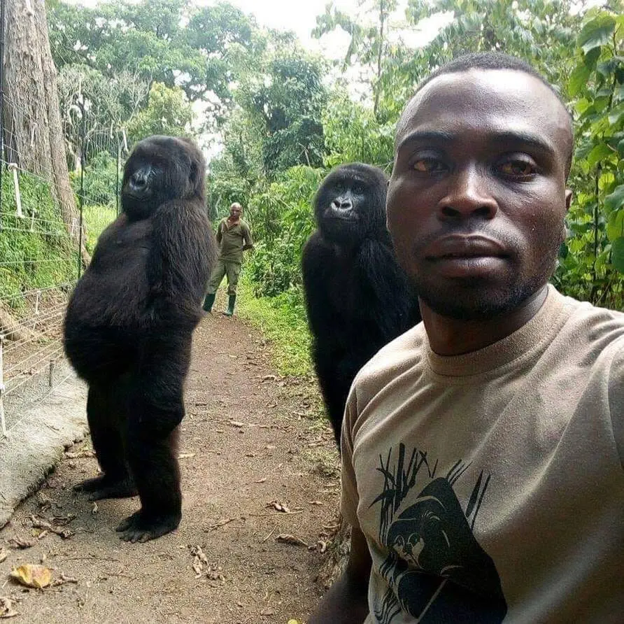 Image credit: Reddit | GallowBoob