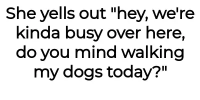 Image credit: dogwalker-aita | dogwalker-aita
