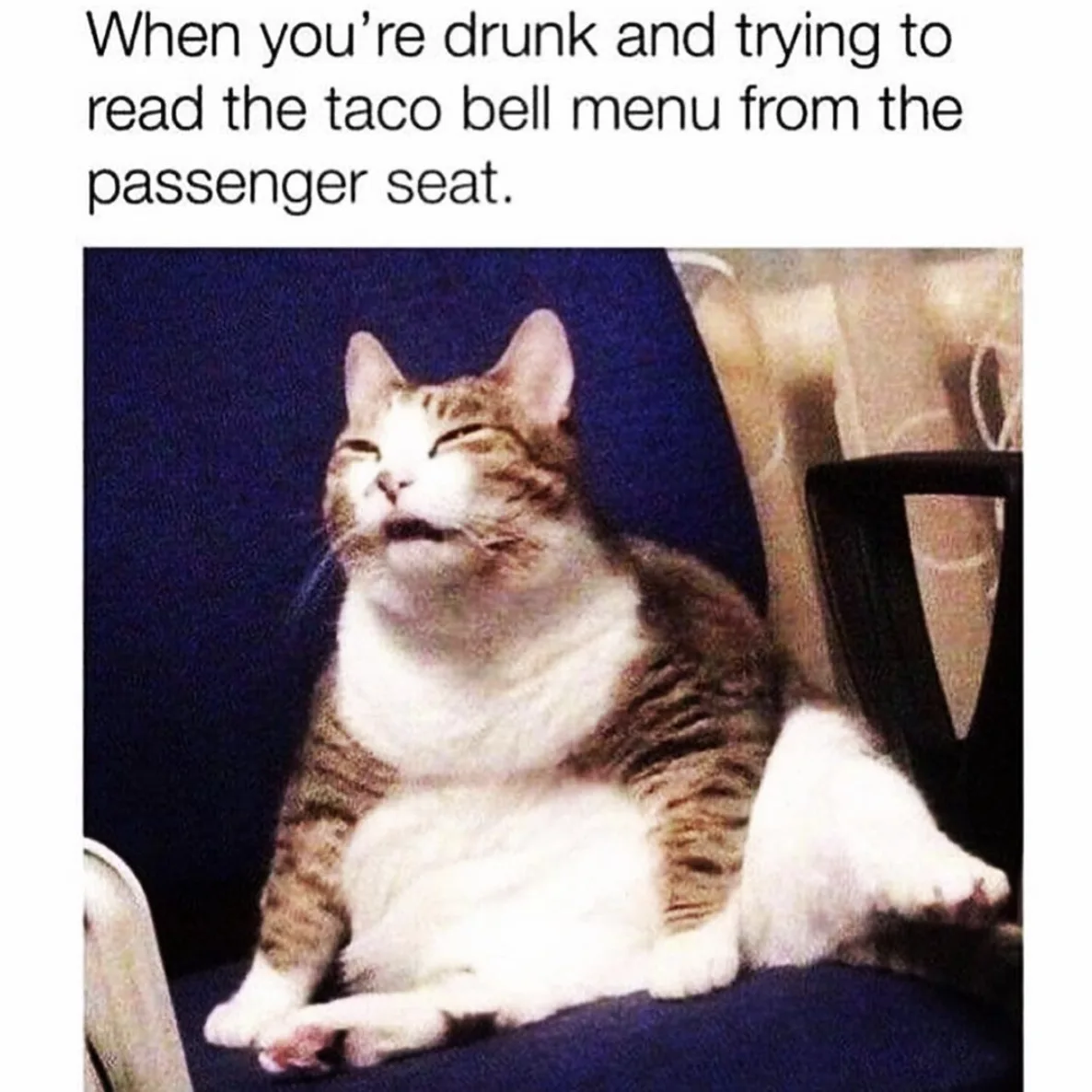 Image credit: Instagram | drinkapalooza