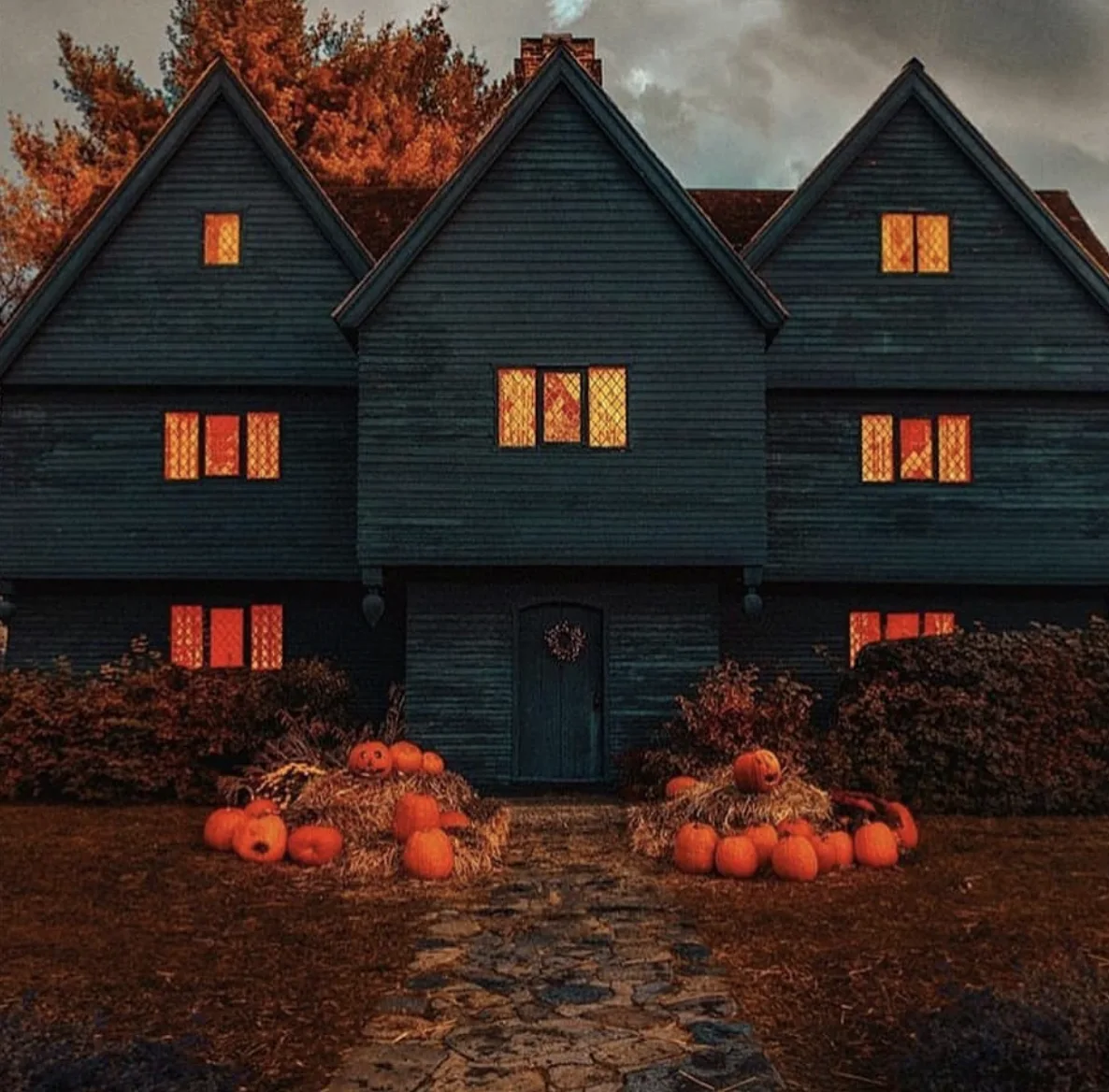 Image credit: Instagram | hholidaycookie