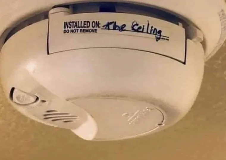 Image credit: Reddit | Explesis