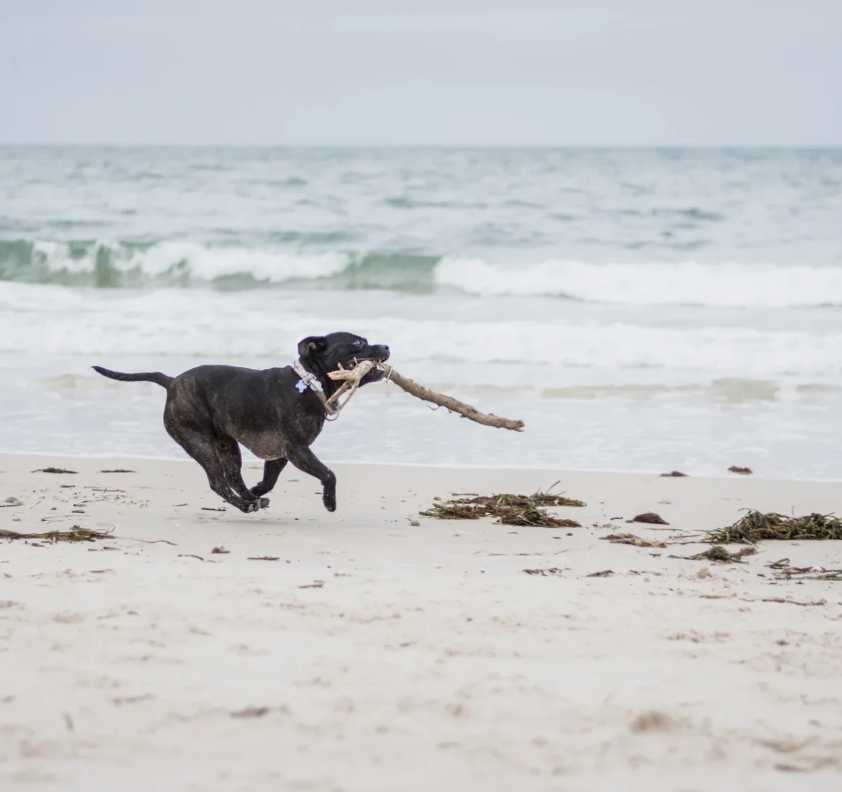 Image credit: Unsplash | Jana Sabeth