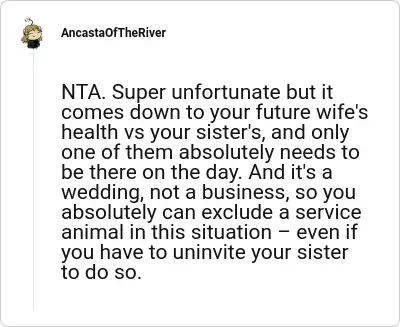 Image credit: AncastaOfTheRiver | AncastaOfTheRiver