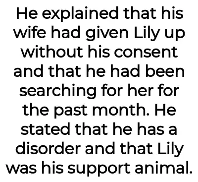 Image credit: lilypupper-aita | lilypupper-aita