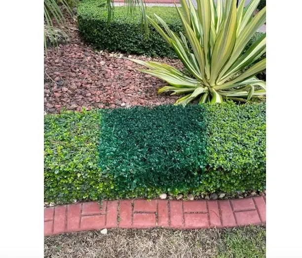 Image credit: reddit | u/kel7star