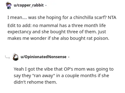Image credit: copper_rabbit | copper_rabbit