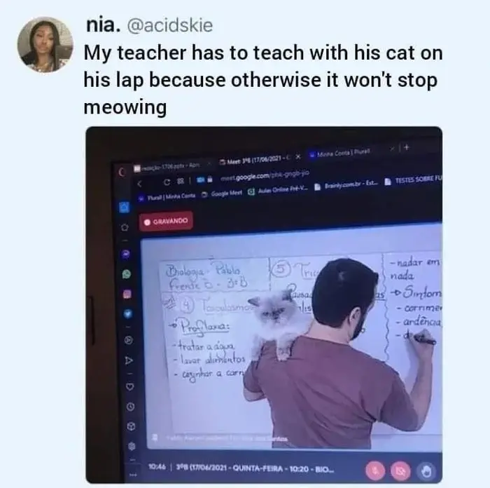Image credit: Reddit | abbawaddadu
