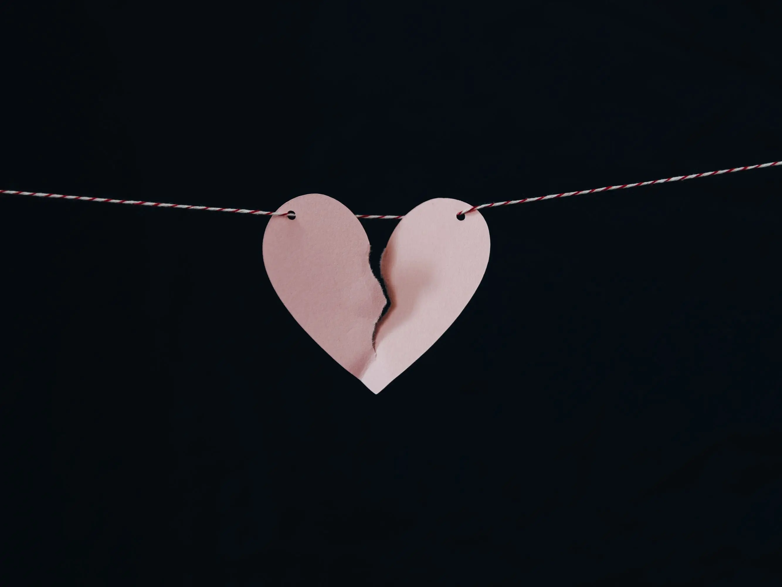 Image credit: Unsplash | Kelly Sikkema