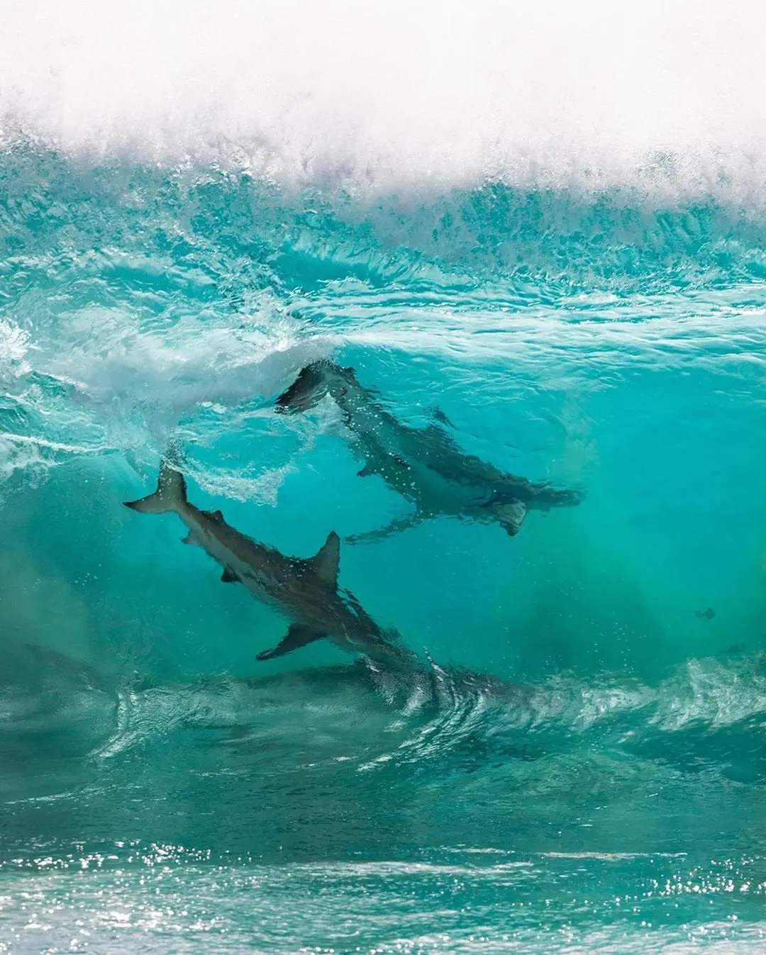 Image credit: Instagram | @seanscottphotography