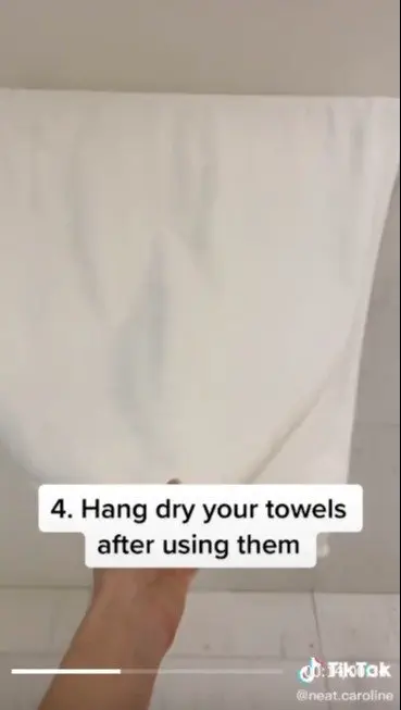 Image credit: TikTok | TikTok l neat.caroline