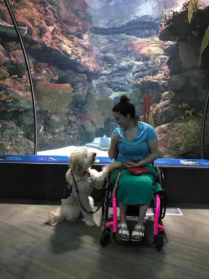 Image credit: Facebook | McKenze Messman Fight with Ehlers Danlos, POTS, and Mast Cell Disease