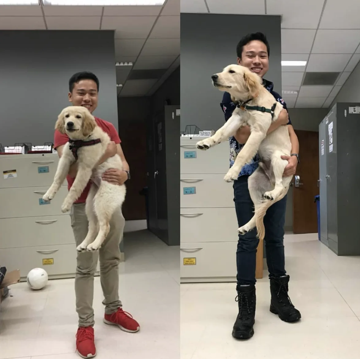Image credit: Instagram | benzenethechemdog