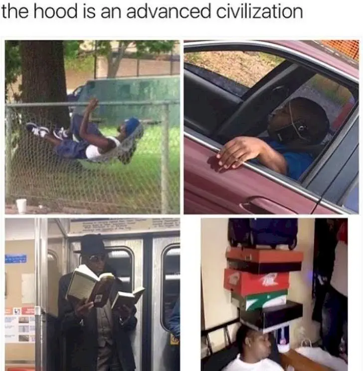 Image credit: Instagram | @bruhifunny