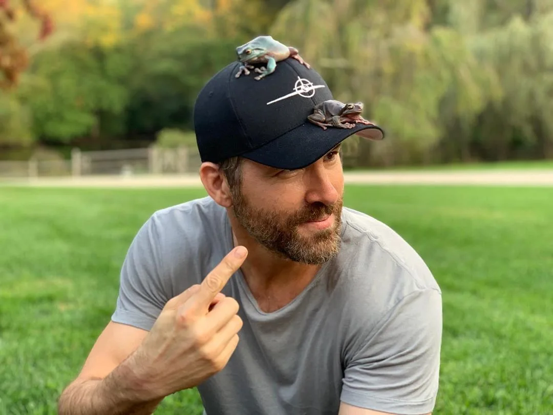 Image credit: Instagram | @vancityreynolds