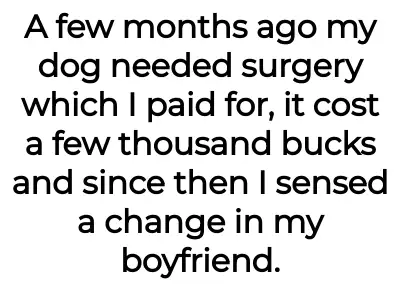Image credit: mydoghiskid | mydoghiskid