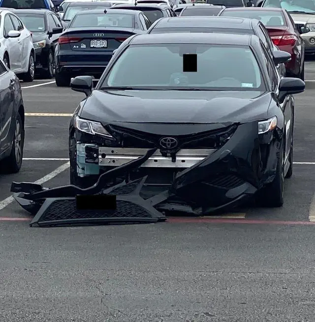 Image credit: Reddit | cecusanele