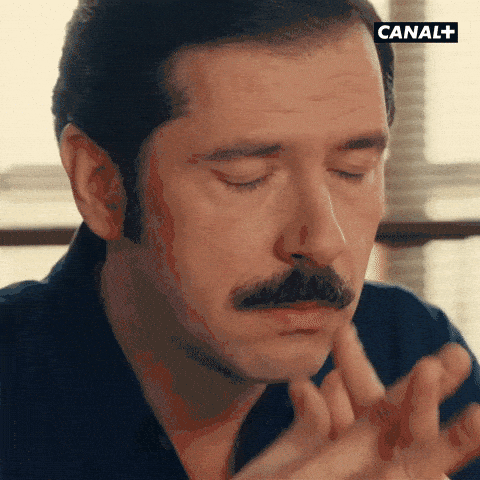 Image credit: Giphy | CANAL+