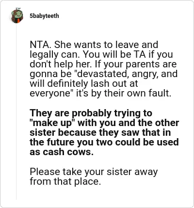 Image credit: 5babyteeth | 5babyteeth