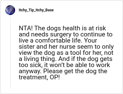 Image credit: Itchy_Tip_Itchy_Base | Itchy_Tip_Itchy_Base