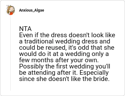Image credit: Anxious_Algae | Anxious_Algae