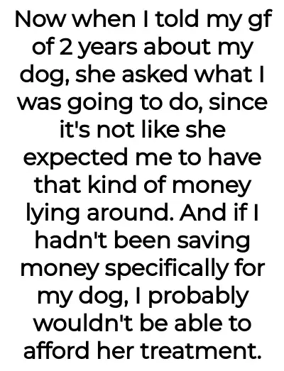 Image credit: gooddogbadbf | gooddogbadbf