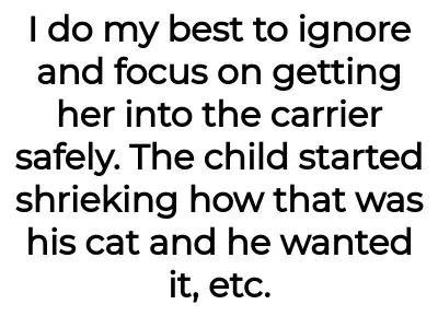 Image credit: throwawyitsmycat | throwawyitsmycat