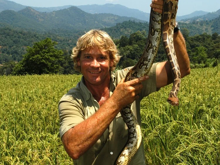 Image credit: Instagram | @wildlifewarriorsworldwide