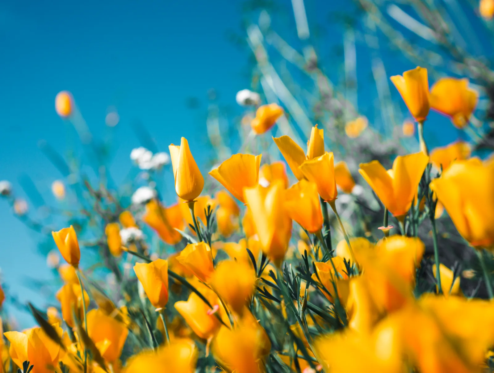 Image credit: Unsplash | Sergey Shmidt