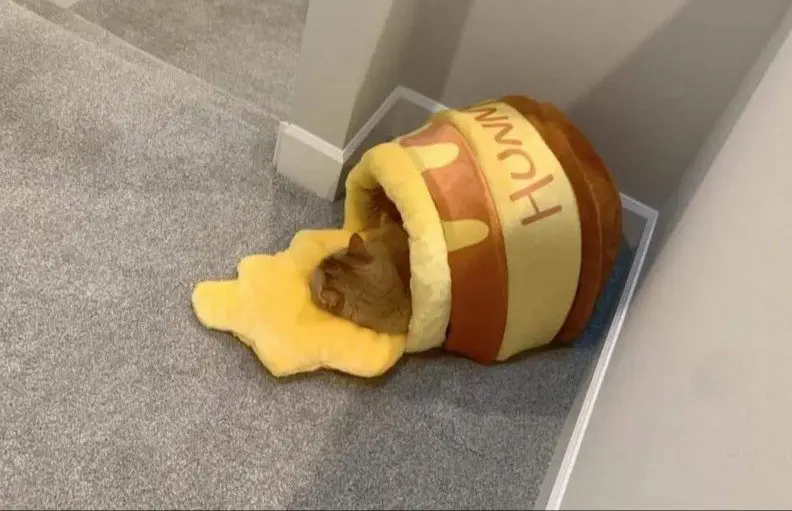 Image credit: reddit | DeltaMVperr