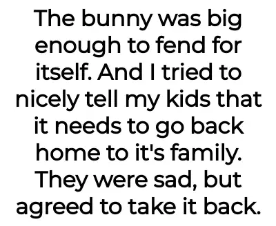 Image credit: bnnuy-dad44 | bnnuy-dad44