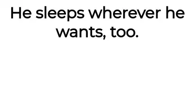 Image credit: nopottynoauntie | nopottynoauntie