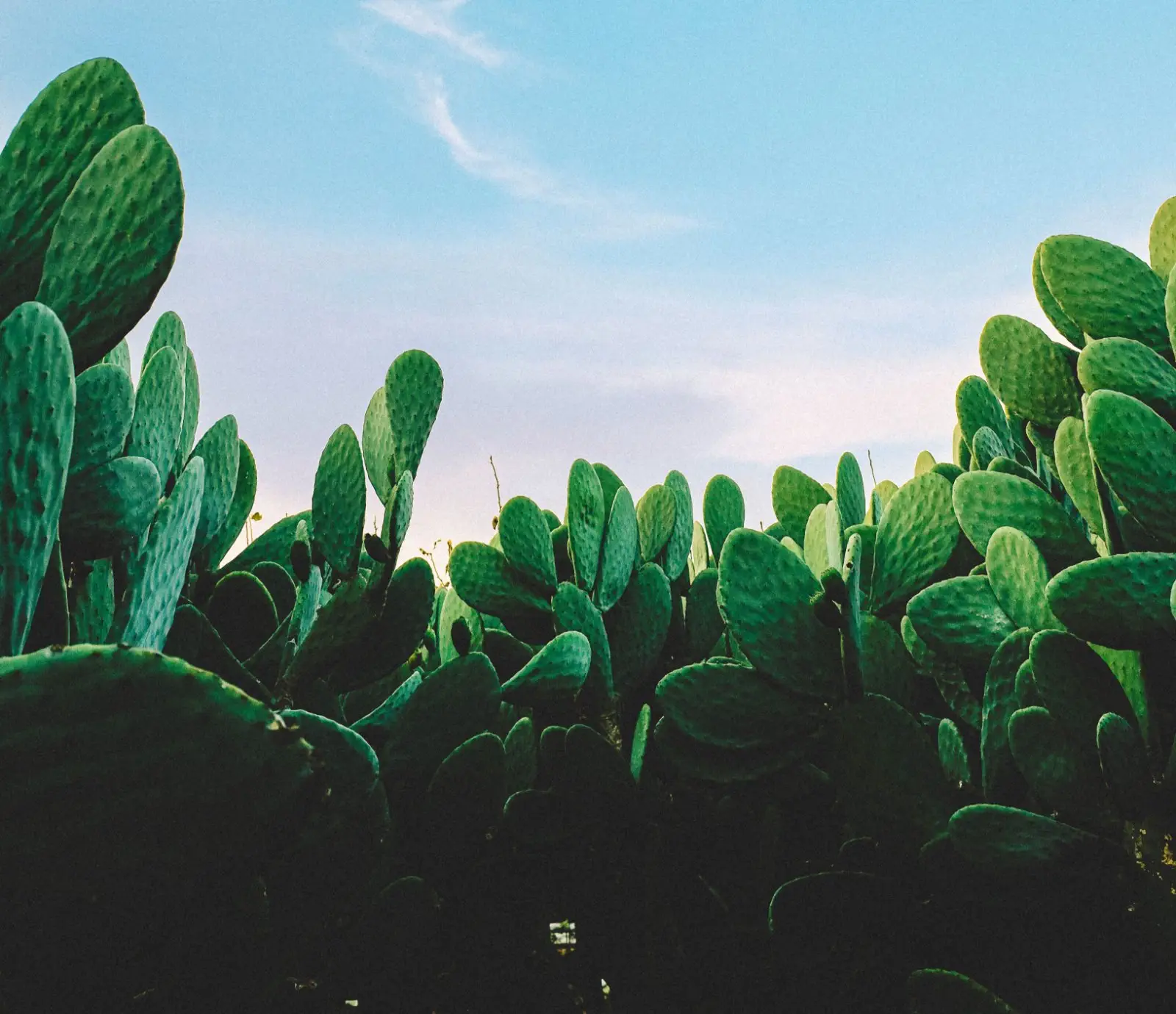 Image credit: Unsplash | Ashim D’Silva