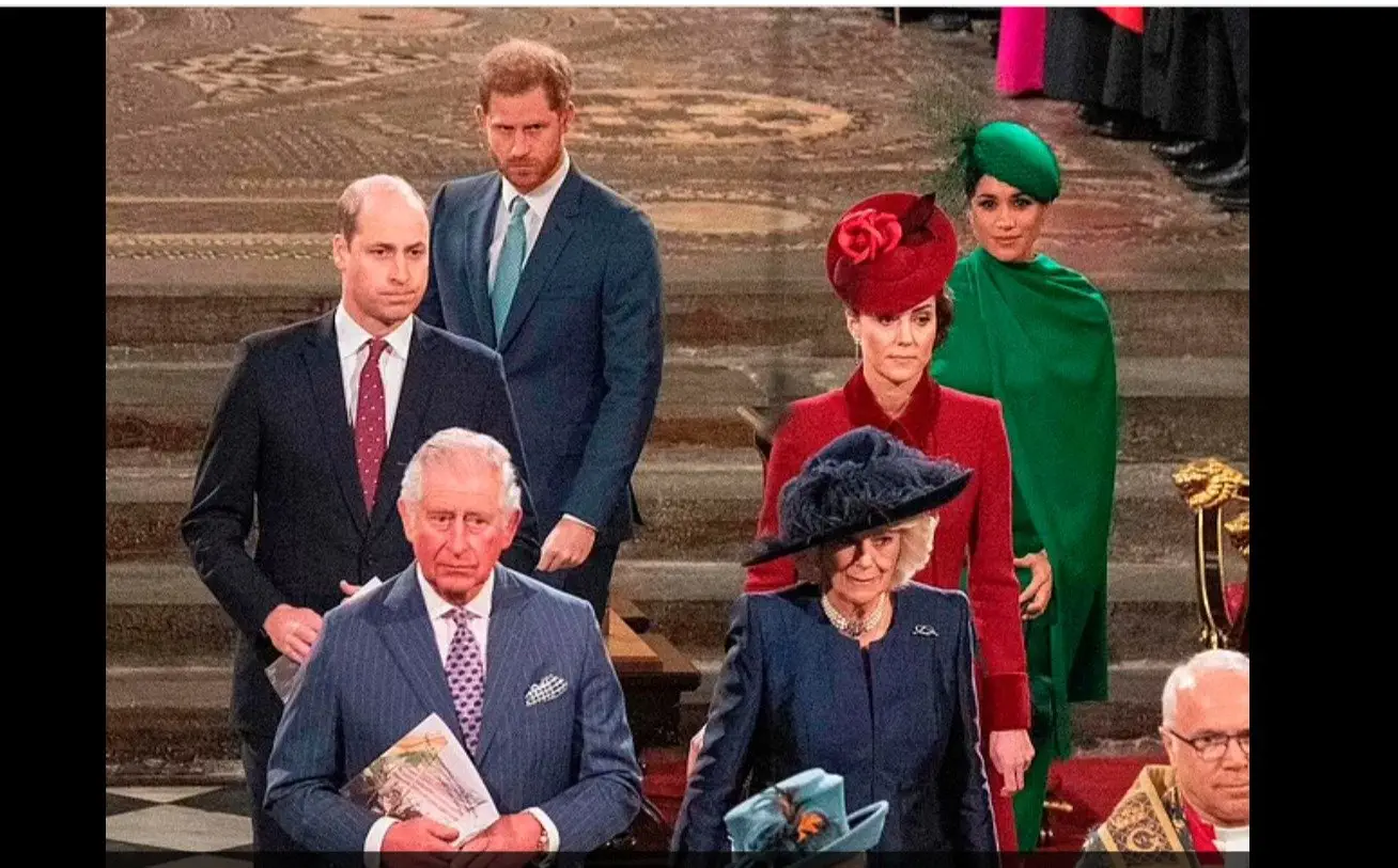Image credit: Daily mail | Prince Harry/ Daily mail